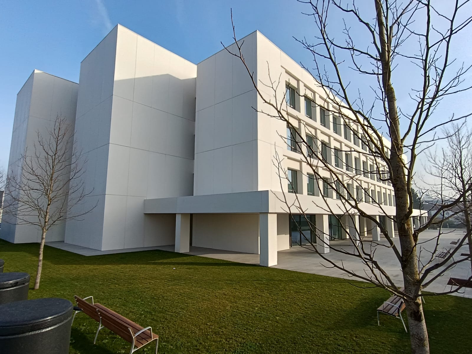 CSCAE-VIVIALT-COAG-RODIAS